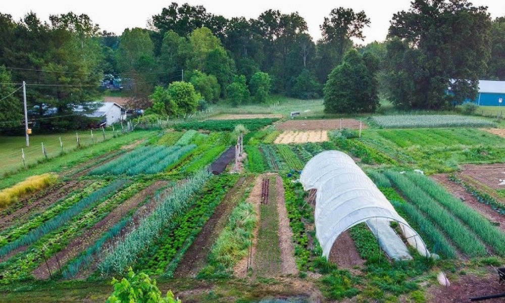 Managing Land for Beginners: From Small Plots to Larger Spaces